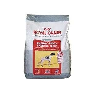 Royal Canin MEDIUM Energy 4800