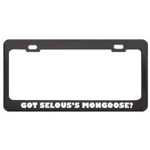 Got SelousS Mongoose? Animals Pets Black Metal License Plate Frame 