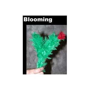    Blooming Blossom, Crazy   Flower / Stage / Magic T: Toys & Games