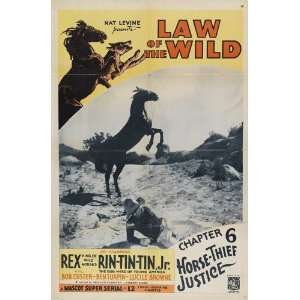  the Wild Poster Movie E 11 x 17 Inches   28cm x 44cm Rex Rin Tin Tin 