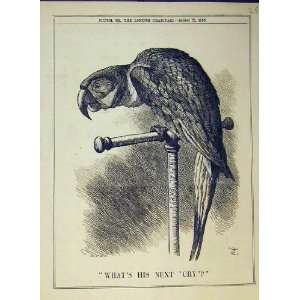  Liberal Party 1885 Parrot Stand Bird Politics Print: Home 