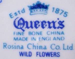 ROSINA Queens china WILD FLOWERS blackberry CUP SAUCER  