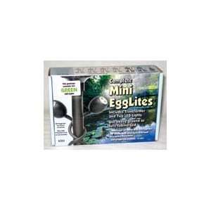  Franklin Electric LCE2 G Green Egglites Mini With Transformer 