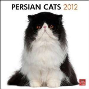 Persian Cats 2012 Wall Calendar 12 X 12