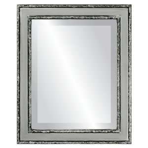   Monticello Rectangle in Silver Spray Mirror and Frame