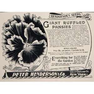   Ad Peter Henderson Seeds Giant Ruffled Pansy NICE   Original Print Ad