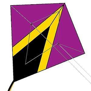   StuntDiamond™ Dual Control Nylon Kite Kaos by X Kites Toys & Games