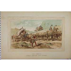   Print 1885 Primitive Brussells Cow Chariot Horse