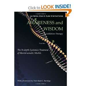  Awareness and Wisdom in Addiction Therapy The In Depth 
