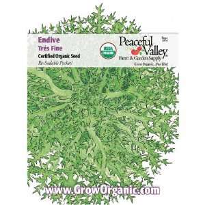  Organic Endive Tres Fine Seed Pack Patio, Lawn & Garden