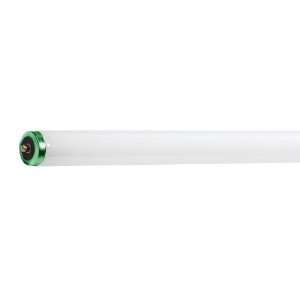   60 Watt T12 Cool White Linear Fluorescent Bulb: Home Improvement