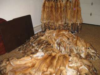 Red Fox Hides Fur CoatsTrapping Furs Tanned Furs and Hide # 1 Grade $ 