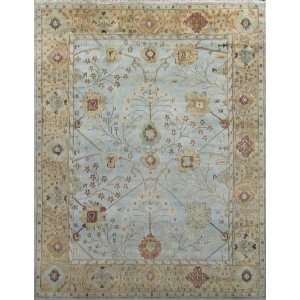 Free Pad &  Blue Hand Knotted Handmade 9x12 Wool Rug H587 