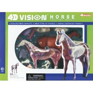    4D Vision   Visible Horse Anatomy Kit (Science): Toys & Games