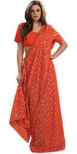 Indian Arabian Gypsy Sari Dress Adult Womens Costume  