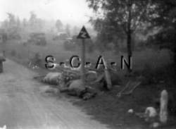  Military Wagon  Road Sign  Horror of War  KIA  Dead Mil Horse  