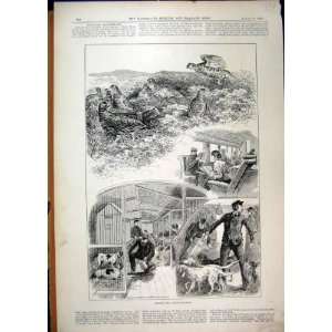    1893 Grouse Train Carriage Dogs Kennels Heatherland