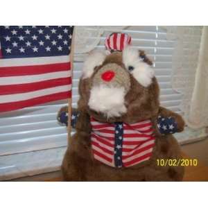  America Transforming Teddy Bear: Toys & Games