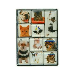    Puppies & Kittens Mighty Magnets Set of 10 magnets