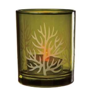  Tree Branches Candle Holder   Hunter (2 Count) Toys 