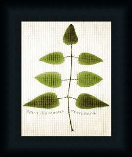 Spirit Illuminates Everything by Leonard Morris Green Leaf Zen 