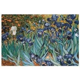  Vincent Van Gogh   Irises