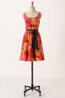 Anthropologie   Changing Canopy Dress  