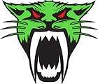 Arctic Cat Decal Sticker Full Color Lime Green Sled ATV