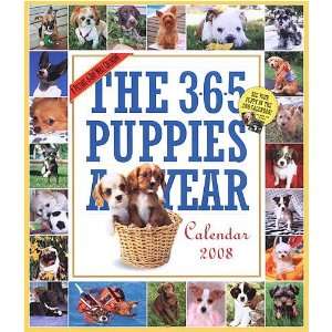  365 Puppies a Year 2008 Wall Calendar