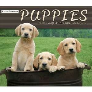   Kimberlin Puppies 2012 Daily Box Calendar 