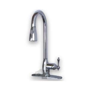  Chrome Kitchen Faucet with Pull Down Spray Everything 