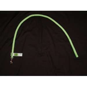 East Side Gingham Cat Lead Parrot Green
