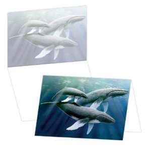  ECOeverywhere Humpback Song Boxed Card Set, 12 Cards and 