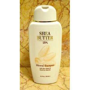   : Spa Cosmetics Dead Sea Shea Butter Hair Shampoo From Israel: Beauty