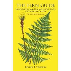  The Fern Guide Northeastern and Midland United States and 
