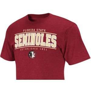  Florida State Seminoles Colosseum NCAA Stinger T Shirt 