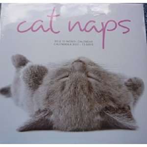  Cat Naps 2012 Wall Calendar