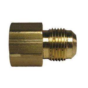 Watts 3/8 In. Brass Flare X FPT Coupling A 176  