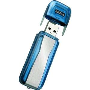  Buslink BD 32 32MB USB Busdrive with Password Protection 