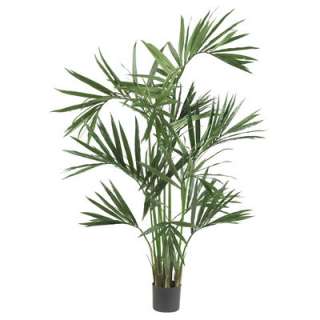 New 6 Kentia Palm Silk Tree Perfect For That Screened In Porch Living 