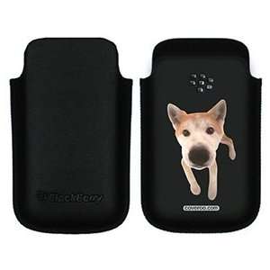  Akita Puppy on BlackBerry Leather Pocket Case: Electronics
