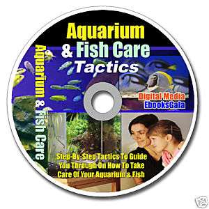How to Set Up A Home Fish Aquarium & Fish Care Tactics  