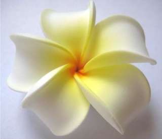   Hawaiian Hawaii Bridal Wedding Party Plumeria Foam Flower Hair Clips