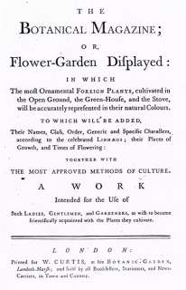 1821 Antique Curtis Botanical Print   Oxalis Violacea 2215  