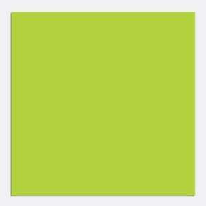 LIME GREEN Blank Vinyl Decal Sheet 12x36 Stickers Great 