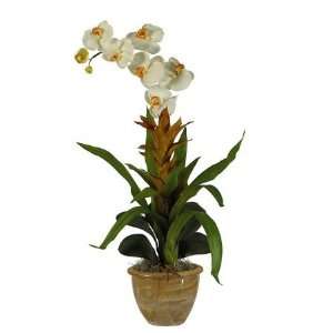    4270317 Single Star Bromeliad Orchid Combo Silk Orchid Arrangement