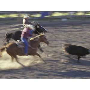  Cowboys Ride Horses in Calf Roping Rodeo Competition, Big 