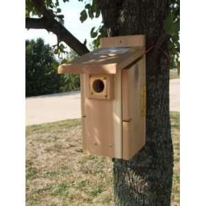  Ultimate Cedar Blue Bird House: Pet Supplies