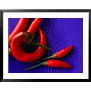  Red Chilli Peppers on a Blue, Patterned Plate, Australia 