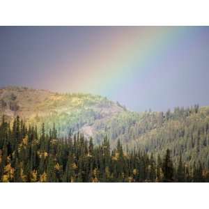 Rainbow Stretches over a Boreal Forest in Autumn, Ross River, Yukon 